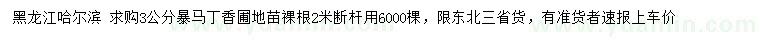求購(gòu)3公分暴馬丁香