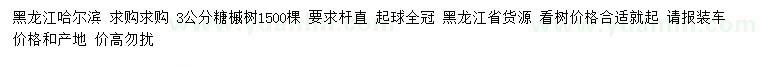 求購3公分糖槭樹