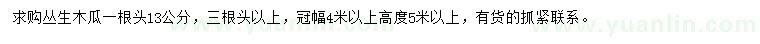 求購冠幅4米以上叢生木瓜