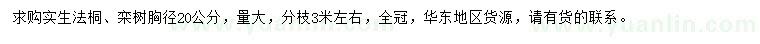 求購胸徑20公分法桐、欒樹
