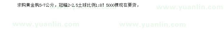 求購(gòu)5-7公分黃金楓