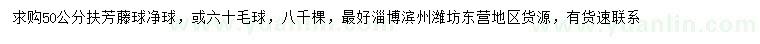 求購50公分扶芳藤球