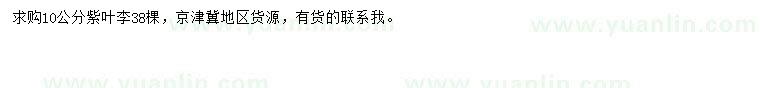求購10公分紫葉李