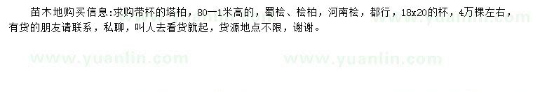求購塔柏、蜀檜、檜柏檜