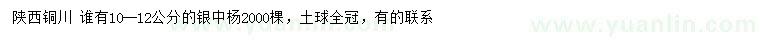 求購10-12公分銀中楊