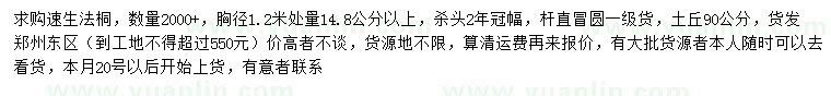 求購胸徑1.2米處量14.8公分以上速生法桐