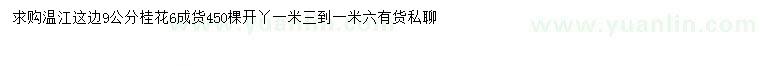 求購9公分桂花