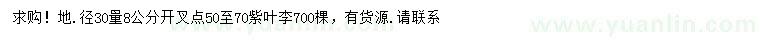 求購地徑30量8公分紫葉李