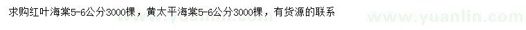 求購5-6公分紅葉海棠、黃太平海棠