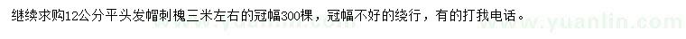 求購12公分刺槐