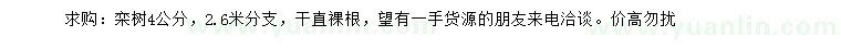 求購4公分欒樹