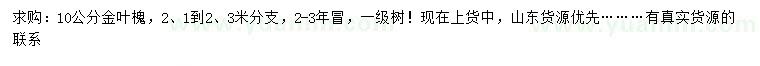 求購(gòu)10公分金葉槐