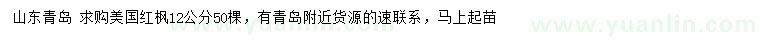 求購12公分美國紅楓