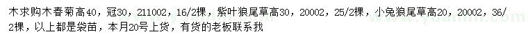求購高40公分木春菊、20公分小兔狼尾草