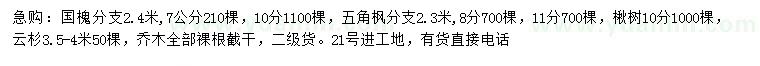 求購國槐、五角楓、楸樹等