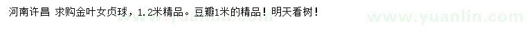 求購(gòu)1.2米金葉女貞球