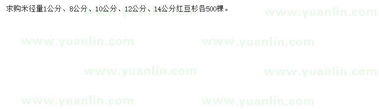 求購米徑量1、8、10、12、14公分紅豆杉