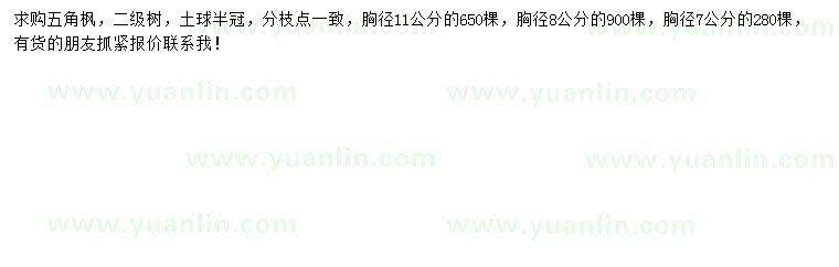 求購胸徑7、8、11公分五角楓