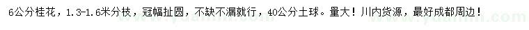 求購6公分桂花