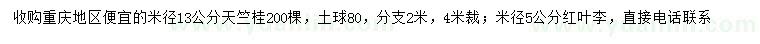 求購(gòu)米徑13公分天竺桂、米徑5公分紅葉李