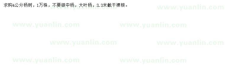 求購4公分楊樹