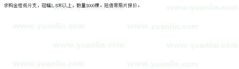 求購冠幅1.5米以上金桂