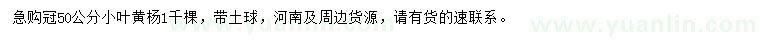 求購冠50公分小葉黃楊
