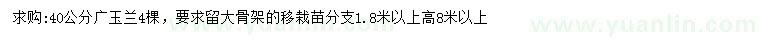 求購40公分廣玉蘭