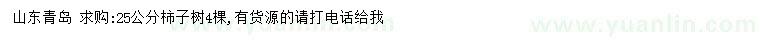 求購25公分柿子樹