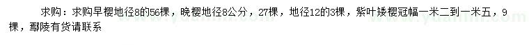 求購早櫻、晚櫻、紫葉李