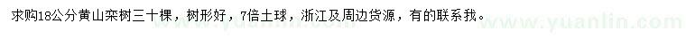 求購18公分黃山欒樹