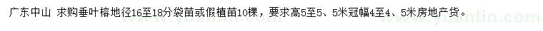 求購地徑16-18公分垂葉榕