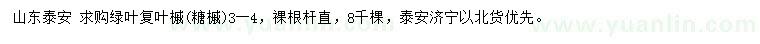 求購3-4公分綠葉復(fù)葉槭（糖槭）