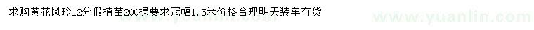 求購12公分黃花風(fēng)玲假植苗
