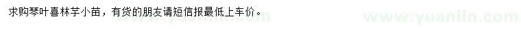求購琴葉喜林芋小苗