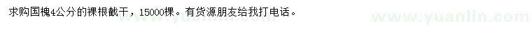 求購4公分國槐