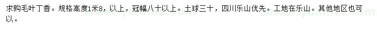 求購高度1.8米毛葉丁香