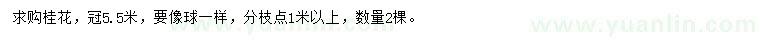 求購(gòu)冠幅5.5米桂花