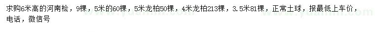 求購高5、6米河南檜、3.5、4、5米龍柏
