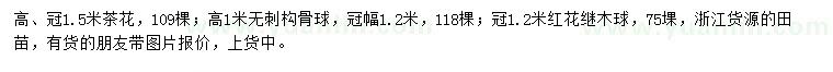 求購(gòu)茶花、無(wú)剌枸骨球、紅花繼木球