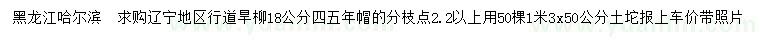 求購18公分旱柳
