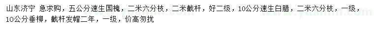 求購速生國槐、速生白臘、垂柳