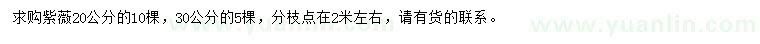 求購20、30公分紫薇