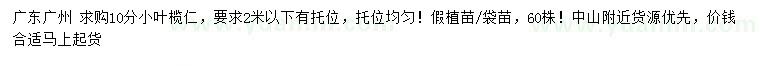 求購(gòu)10公分小葉欖仁