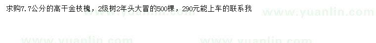 求購7.7公分高桿金枝槐