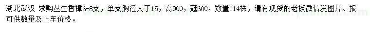 求購(gòu)高900公分叢生香樟
