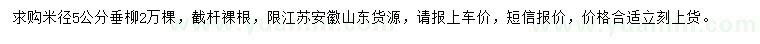 求購米徑5公分垂柳