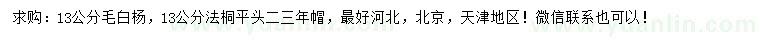 求購13公分毛白楊、法桐