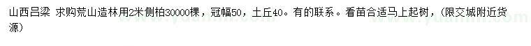 求購2米側柏