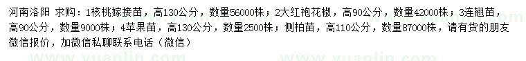 求購核桃嫁接苗、大紅袍花椒、連翹苗等